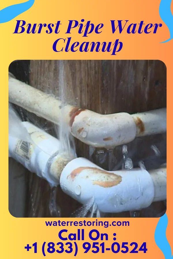 Burst Pipe Water Cleanup in Copenhagen, NY