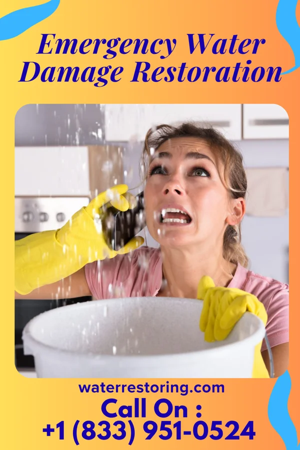 Emergency Water Damage Restoration in Copenhagen, NY