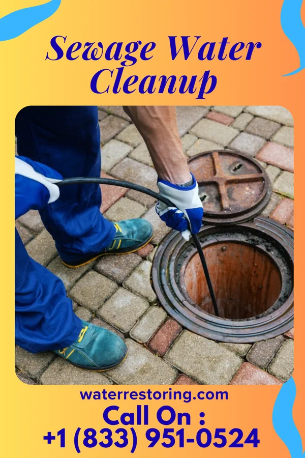 Sewage Water Cleanup in Copenhagen, NY